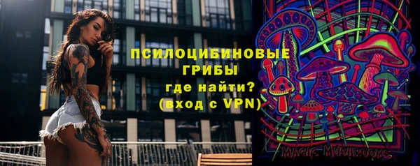 круглые Алзамай