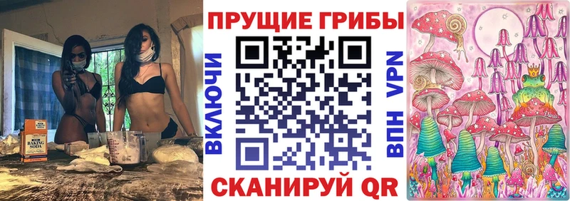 где купить наркоту  Цимлянск  Галлюциногенные грибы ЛСД 